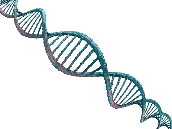 Illustrazione digitale di un modello di DNA. Rendering 3D — Foto Stock