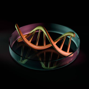 Standart insan DNA'sının parçası. 3D render