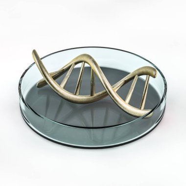 Standart insan DNA'sının parçası. 3D render
