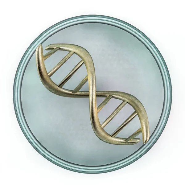 Padrão de fragmento de DNA humano. Renderização 3D — Fotografia de Stock