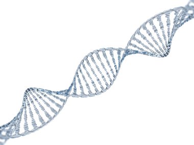 Cam dna modeli. 3D render