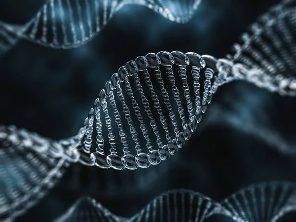 Cam dna modeli. 3D render