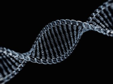 Cam dna modeli. 3D render