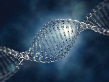 Cam dna modeli. 3D render