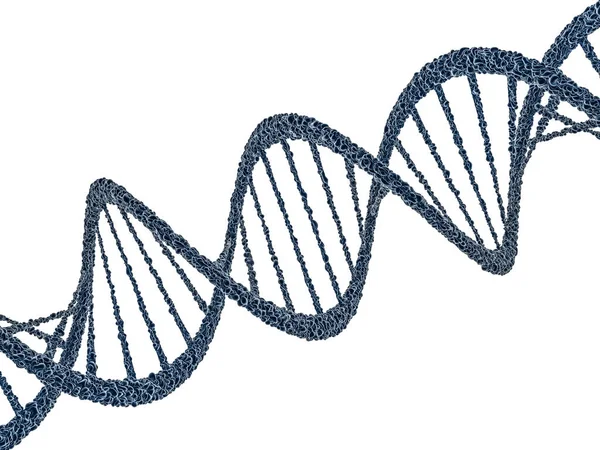 Dna 모델의 디지털 그림입니다. 3 차원 렌더링 — 스톡 사진