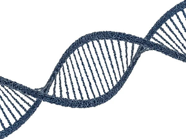 Illustrazione digitale di un modello di DNA. Rendering 3D — Foto Stock