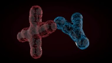 Animasyonlu Xy kromozomu koyu arka plan üzerinde. 3D render