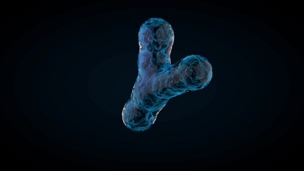 Geanimeerd Xy-chromosomen op donkere achtergrond. 3D-rendering — Stockvideo