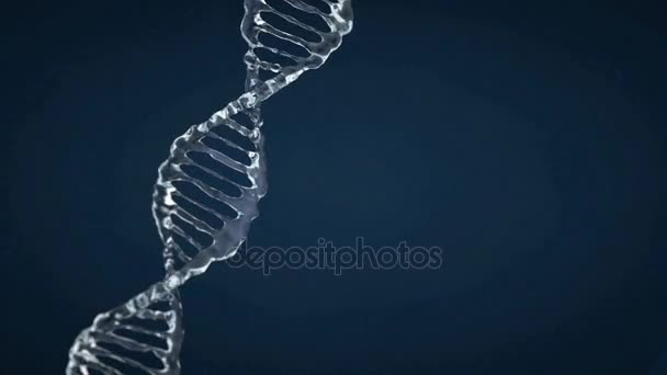 Su damlaları animasyonlu Dna modeli. 3D render — Stok video