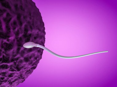 Sperm ve yumurta hücresi mikroskobik görünümü. 3D render