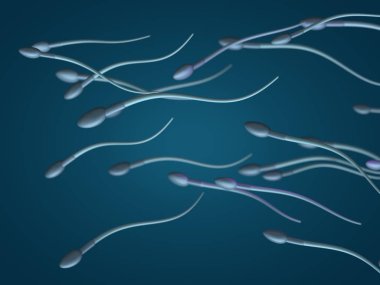 Sperm ve yumurta hücresi mikroskobik görünümü. 3D render