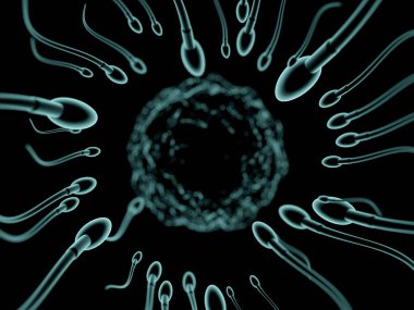 Sperm ve yumurta hücresi mikroskobik görünümü. 3D render