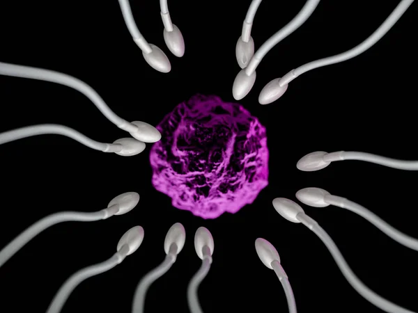 Vista microscopica di spermatozoi e ovuli. Rendering 3D — Foto Stock