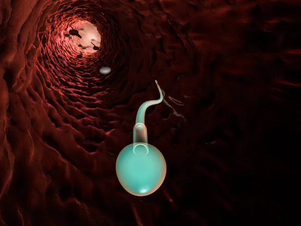 Sperma mikroszkópos megtekintése. 3D-leképezés — Stock Fotó