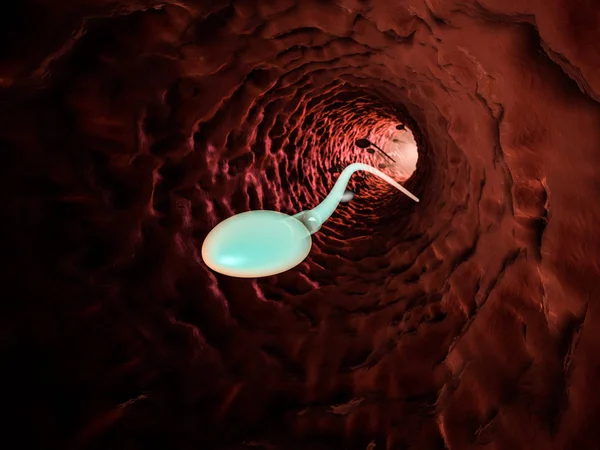 Sperma mikroszkópos megtekintése. 3D-leképezés — Stock Fotó