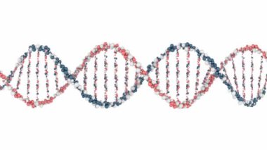 Topları animasyonlu Dna modeli. 3D render