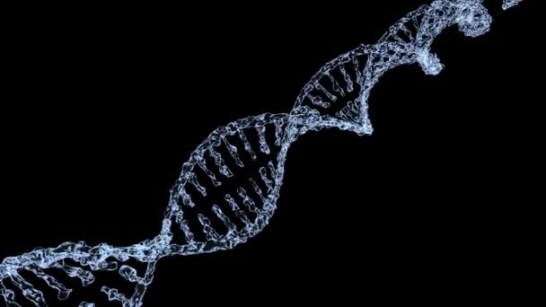 动画从水滴的 Dna 模型。3d 渲染 — 图库视频影像