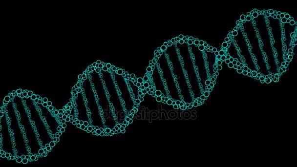 Modèle ADN animé de boules lumineuses. rendu 3D — Video