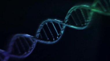Animasyonlu Dna zinciri modeli. 3D render
