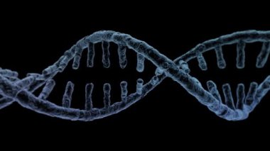 Animasyonlu Dna zinciri modeli. 3D render