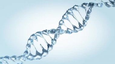 Su damlaları animasyonlu Dna modeli. 3D render