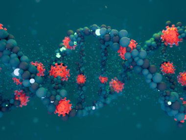 Covid-19. Patojen solunum koronavirüsü 2019-ncov gribi. Virüs DNA 'ya saldırır. 3B görüntüleme