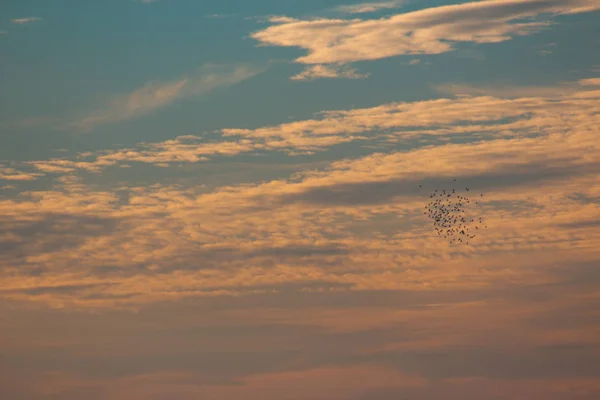 Orange Clouds Sky Sunset Moment — Stock Photo, Image