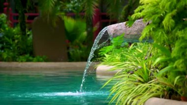 Su kayalık bir tepedeki yüksek bir yerden doğayla çevrili bir gölete akar. 4k