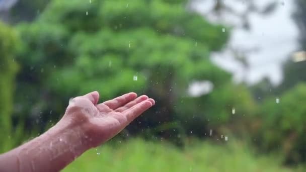 Regen druppels water stromen in de handen hd Langzame 120 frames — Stockvideo
