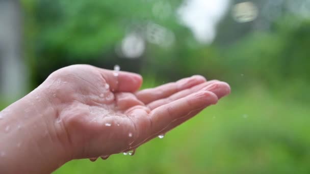 Regndroppar av vatten rinner i händerna hd Långsam 120 ramar — Stockvideo