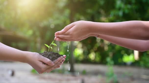 As pessoas estão plantando e regando plantas em suas mãos. Há árvores, ideias para preservar a natureza e o meio ambiente . — Vídeo de Stock