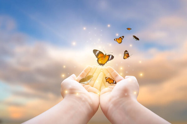 Девушка освобождает бабочку из банки, золотой голубой момент Концепция свободы
