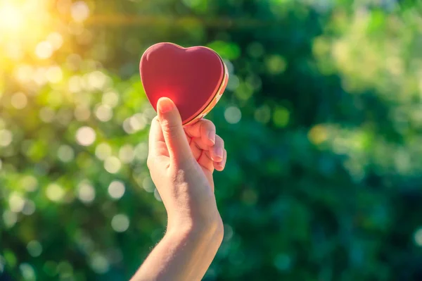 Handen Van Vrouwen Mannen Zijn Hartvorm Met Het Zonlicht Door — Stockfoto