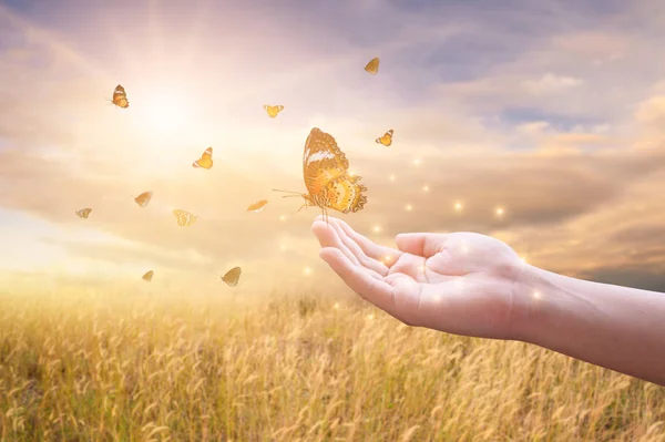 女の子は瓶から蝶を解放し 黄金の青い瞬間自由の概念 — ストック写真