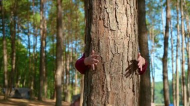 People are embracing the concept of preserving trees and nature, the environment, saving the world.