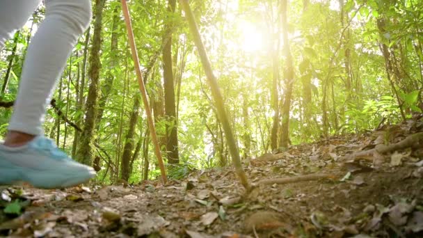 タイ、チェンマイのドイ・インタノンの丘の上を歩く若者 — ストック動画