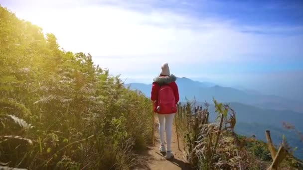 Young people walking on a hilltop in Doi Inthanon, Chiang Mai, Thailand — Stock Video