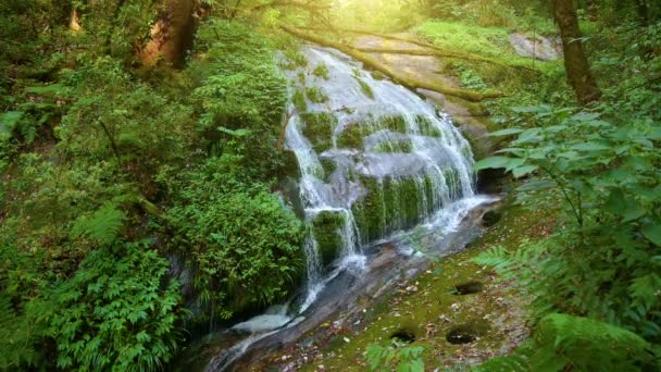 Waterval midden in het diepe bos bij Kio Mae Pan, Doi Inthanon, Chiang Mai, Thailand — Stockvideo