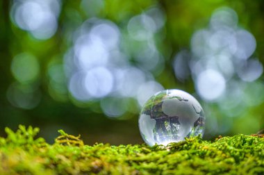 Kavram Dünyayı kurtar Çevreyi kurtar Dünya yeşil bokeh arka planının çimlerinde
