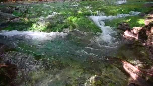 Una cascada con algas azules fluye en un arroyo . — Vídeos de Stock