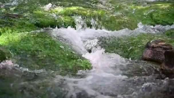 Vodopád s modrými řasami teče v potoce. — Stock video
