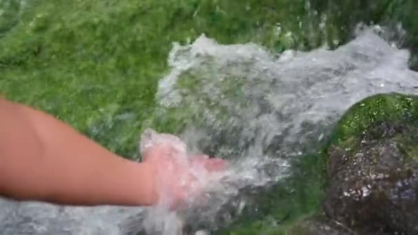 Una cascada con algas azules fluye en un arroyo . — Vídeos de Stock
