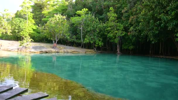 Emerald Pool Αθέατη Ταϊλάνδη Πράσινο και μπλε νερό είναι ένα τουριστικό αξιοθέατο σε Krabi Ταϊλάνδη Ασία. — Αρχείο Βίντεο