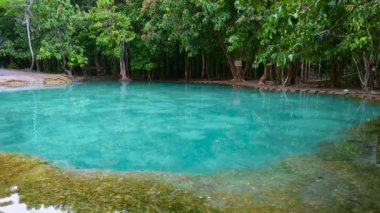 Zümrüt Havuzu Görünmeyen Tayland Yeşil ve Mavi Su Krabi Tayland Asya 'da bir turistik merkezdir..