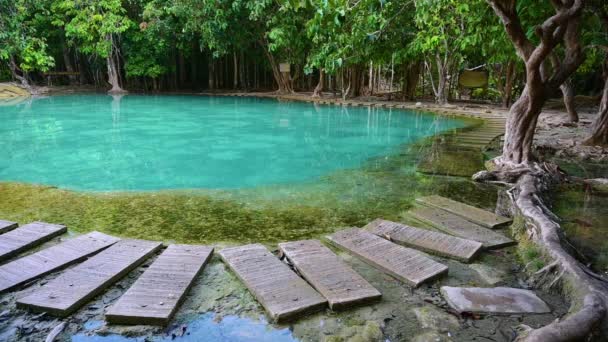 Szmaragdowy basen Niewidoczny Tajlandia Zielona i niebieska woda jest atrakcją turystyczną w Krabi Tajlandia Azja. — Wideo stockowe