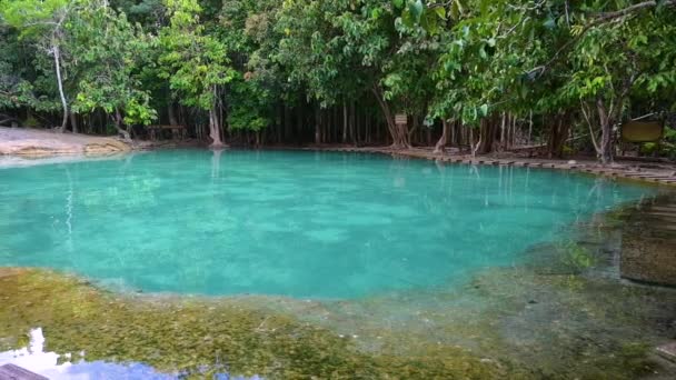 Озеро Смарагд Невидимий Таїланд Зелений і блакитна вода є туристичною пам'яткою в Азії Крабі Таїланд. — стокове відео