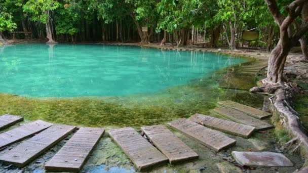 Smaragdový bazén Neviditelný Thajsko Zelená a modrá voda je turistickou atrakcí v Krabi Thajsko Asie. — Stock video