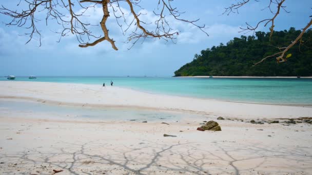 Sea of ������Ko Rok indigo water dark blue beautiful Krabi Thailand Asia — Stock video