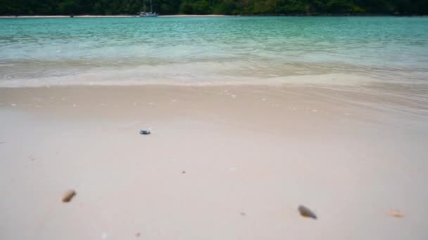 Sea of ������Ko Rok indigo water dark blue beautiful Krabi Thailand Asia — Stok video
