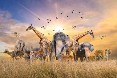 Büyük bir Afrika safari hayvanı grubu. Vahşi yaşamı koruma kavramı